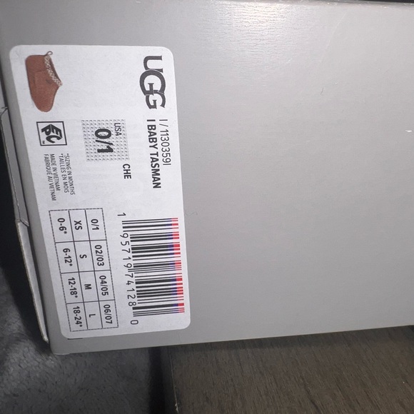 BABY TASMAN (Chestnut ) - Picture 5 of 5